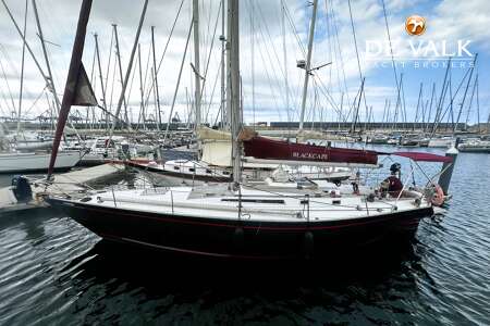 ALB-SAIL 41