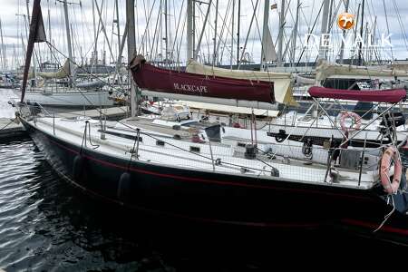 ALB-SAIL 41