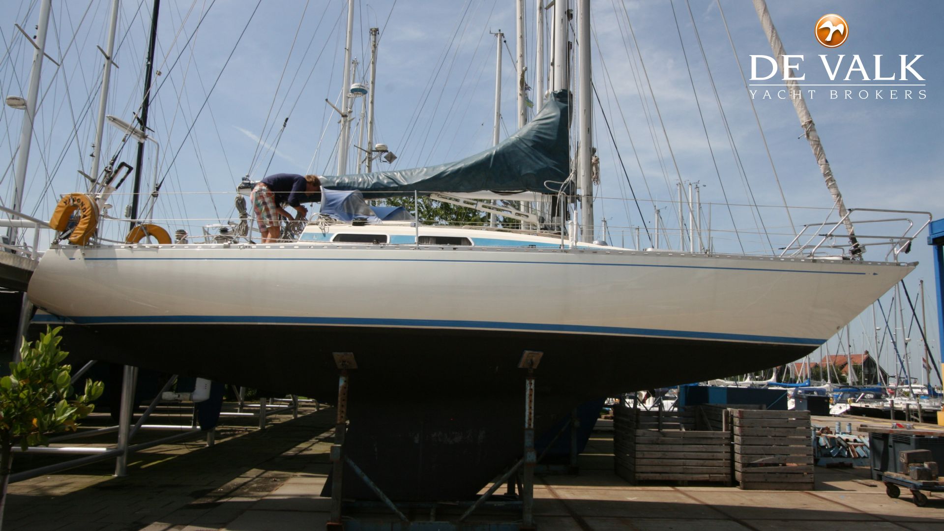 avance 36 sailboat for sale