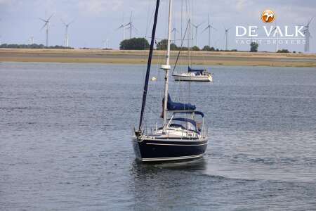 BREEHORN 37