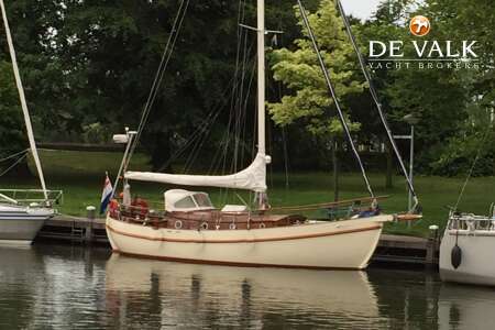 DANISH ROSE 31