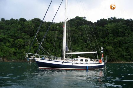 DANISH ROSE 42