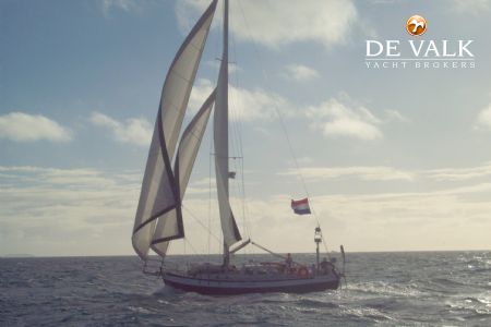 DANISH ROSE 42