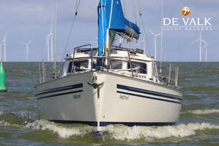 DEGERO 31 DS