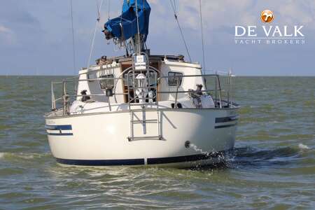 DEGERO 31 DS