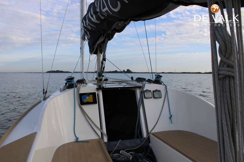 DOMANI S30 SPORTYACHT
