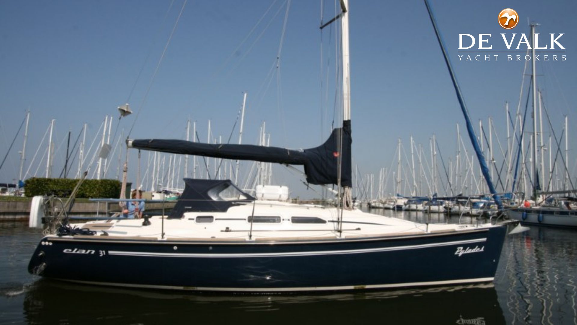 elan 31 yacht for sale