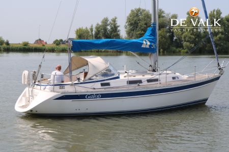HALLBERG RASSY 31