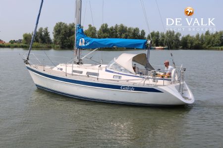 HALLBERG RASSY 31
