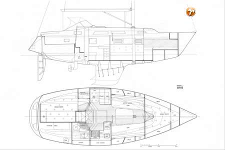 HALLBERG RASSY 31