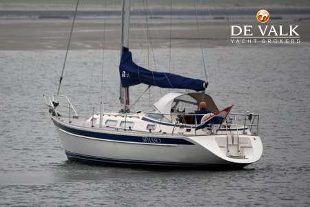 HALLBERG RASSY 31