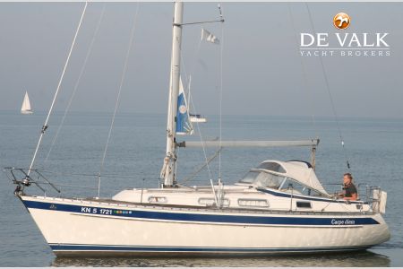 HALLBERG RASSY 31