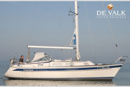HALLBERG RASSY 31
