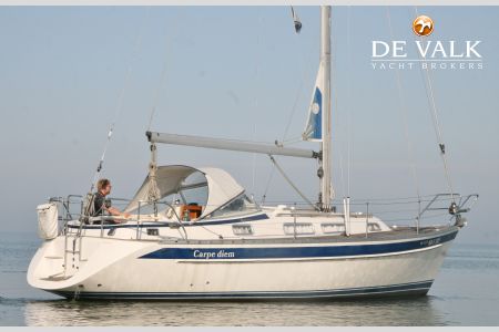HALLBERG RASSY 31