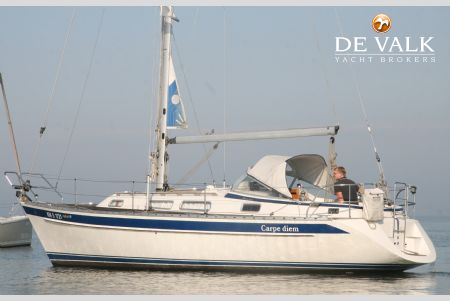 HALLBERG RASSY 31