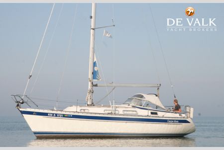 HALLBERG RASSY 31