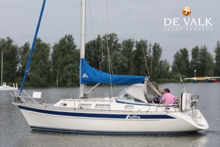 HALLBERG RASSY 31