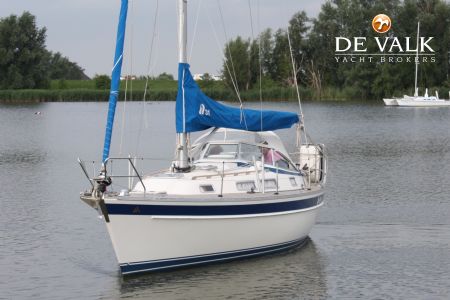 HALLBERG RASSY 31