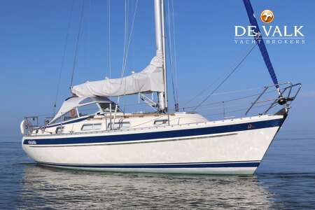 HALLBERG RASSY 31