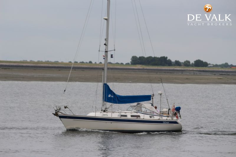 HALLBERG RASSY 34