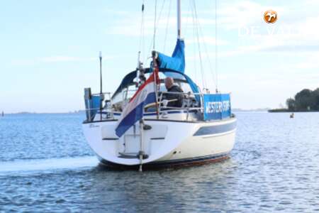 HALLBERG RASSY 34