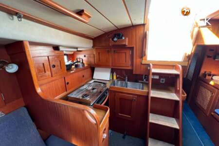HALLBERG RASSY 352