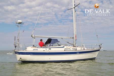HALLBERG RASSY 36