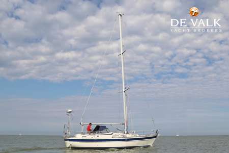 HALLBERG RASSY 36