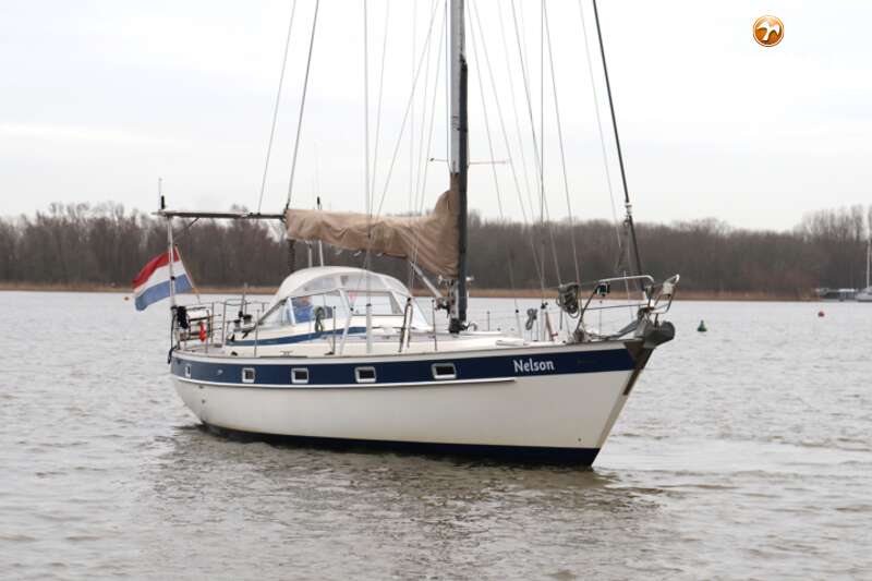 HALLBERG RASSY 382