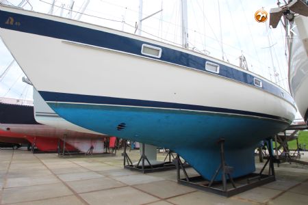 HALLBERG RASSY 49