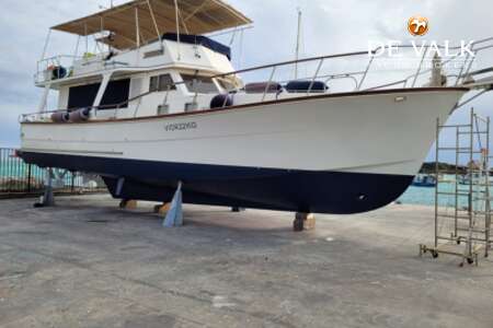 HAMPTON 50 EUROPA