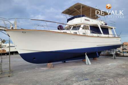HAMPTON 50 EUROPA