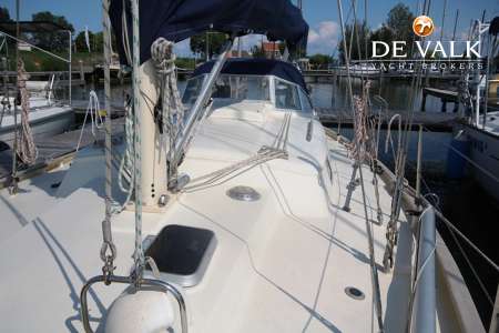 KOOPMANS 35