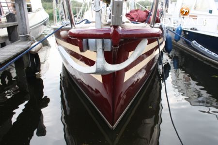 KOOPMANS 43