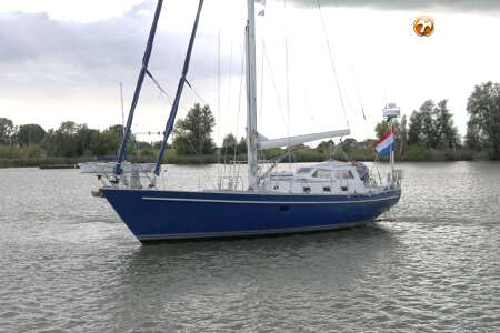 KOOPMANS 43