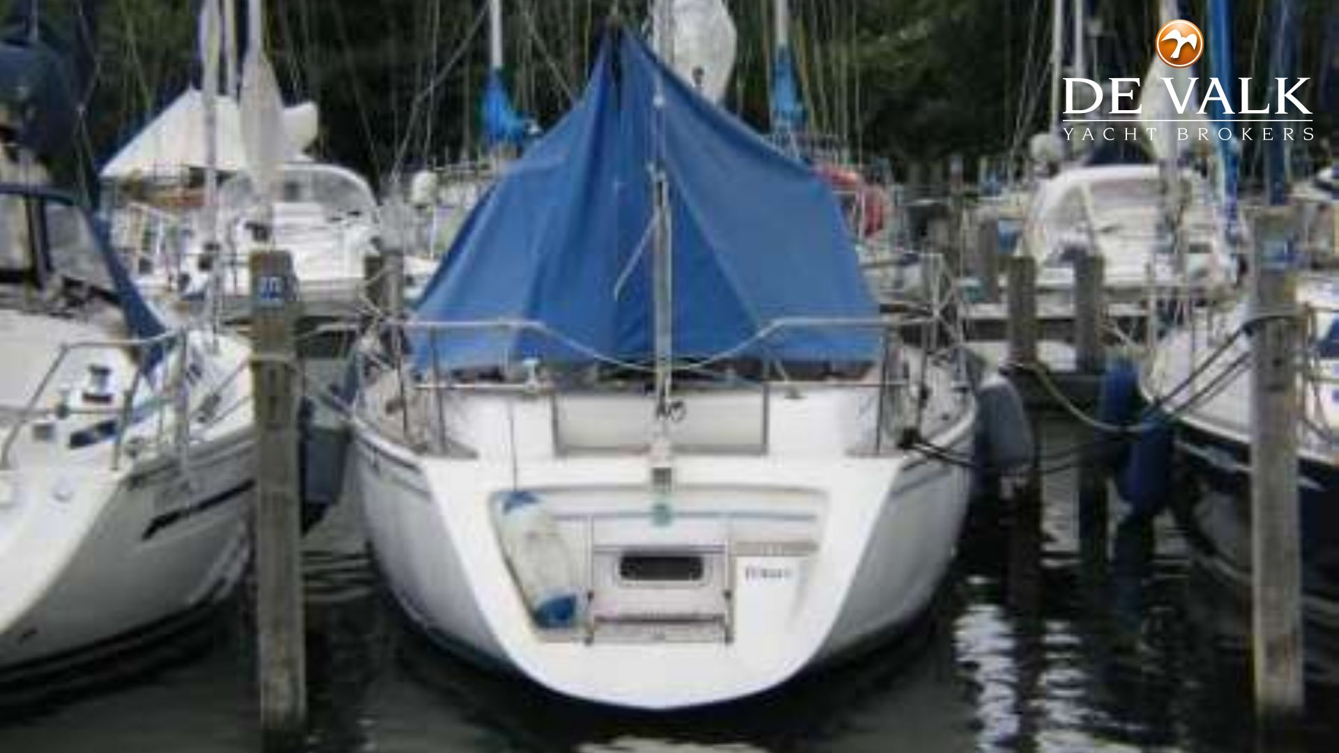 maxi 34 yacht