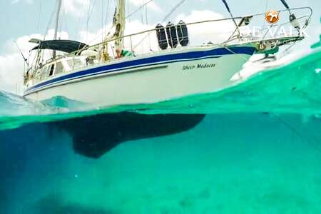 NAUTICAT 43