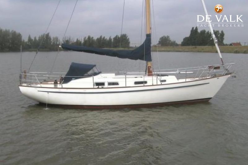 stalen zeiljacht te koop