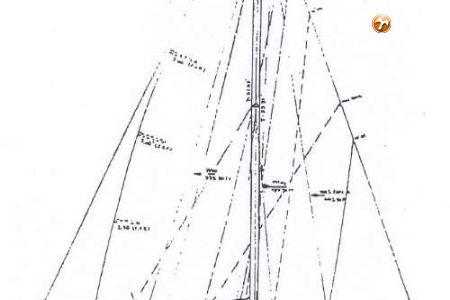 SWAN 43