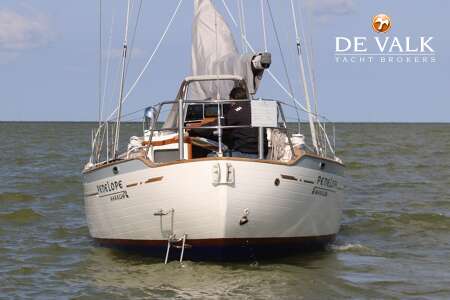 TAYANA 37