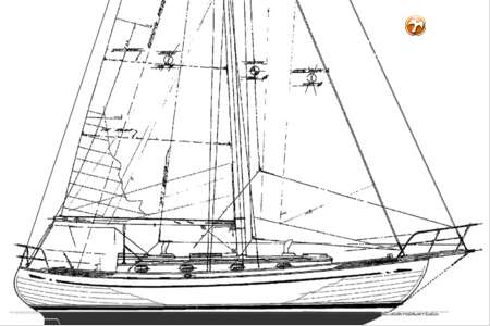 TAYANA 37
