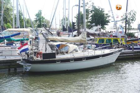 TRINTELLA 38