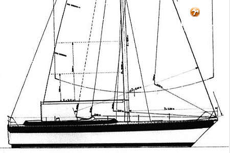 TRINTELLA 44
