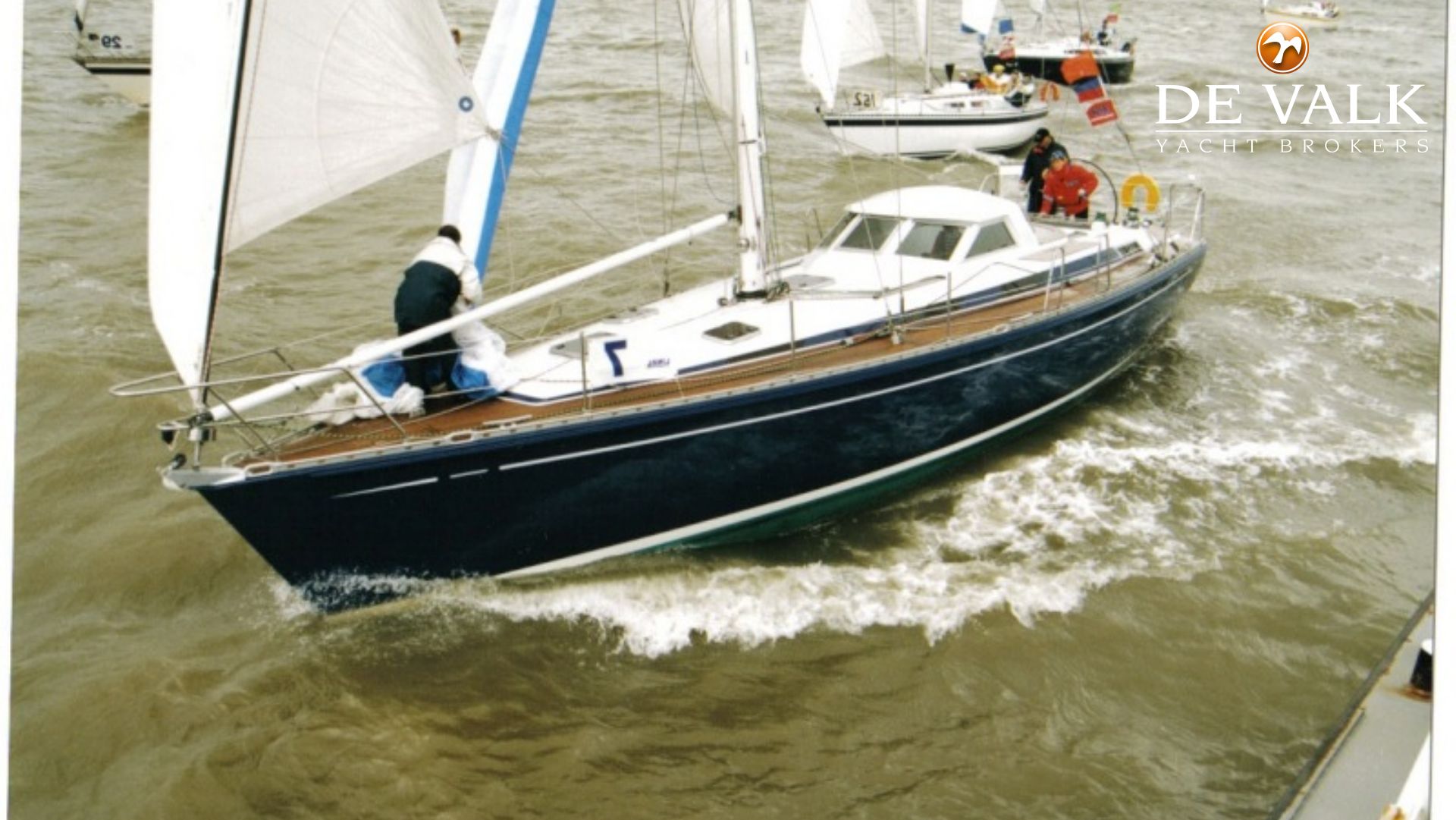 trintella sailboat