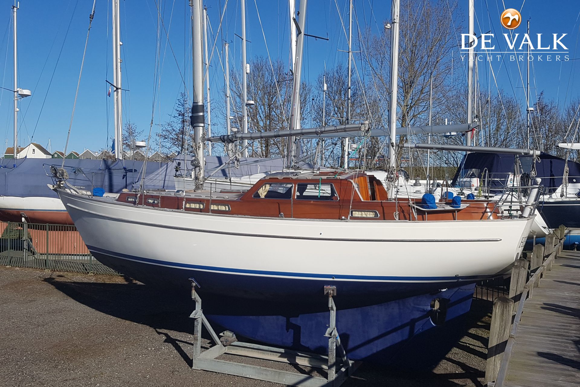 vindo 65 sailboat