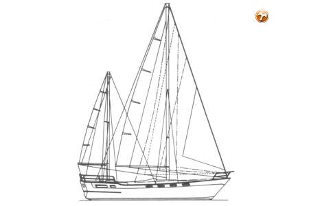 WAUQUIEZ AMPHITRITE 43