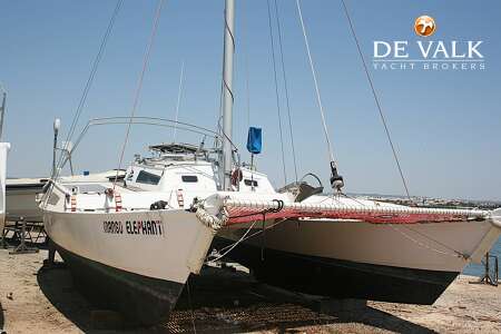 WHARRAM TIKI 30 width=